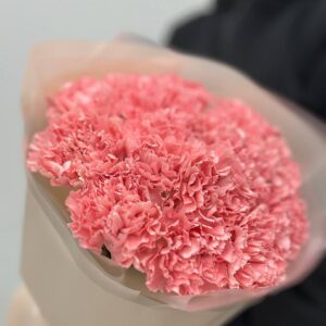 Букет из диантусов в упаковке