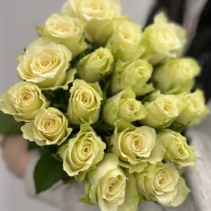 белые импортный розы 60 см Гродно Кайф