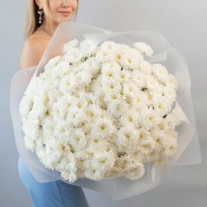 buket-iz-hrizantem-25-vetok-v-upakovke