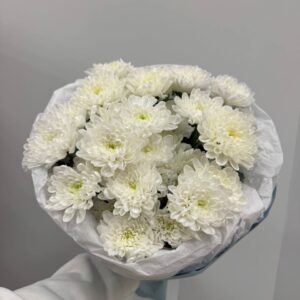 букет из 5 кустовых хризантем в упаковке